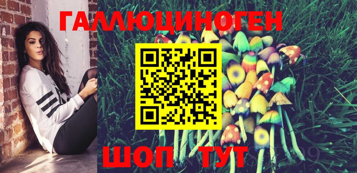Камышлов  Галлюциногенные грибы Psilocybine cubensis  Вход с VPN 