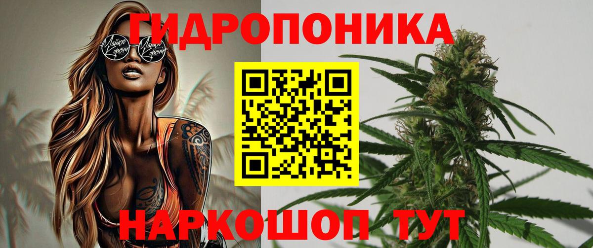 Канабис семена  Бошки Шишки VHQ  Каннабис Amnesia  Камышлов  МАРИХУАНА ГИДРОПОН  Вход с VPN 
